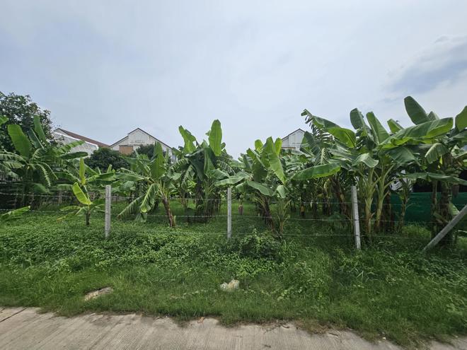 ตลาดบางเขน เขตหลักสี่ กรุงเทพมหานคร