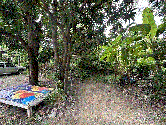 ที่ดินหลุดจำนอง ธ.ธนาคารกรุงเทพ ท่าแร้ง บางเขน กรุงเทพมหานคร